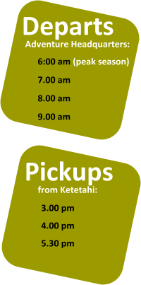 Depart - Pick Up Times