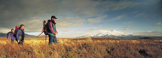 hiking in the Tongariro National Park