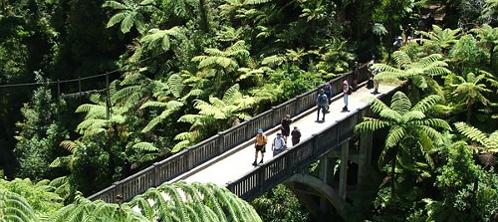 Bridge to Nowhere