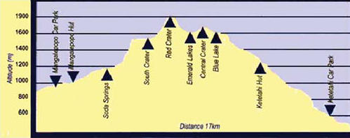 Tongariro Alpine Crossing graph